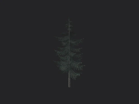 Tree 025 3D Model
