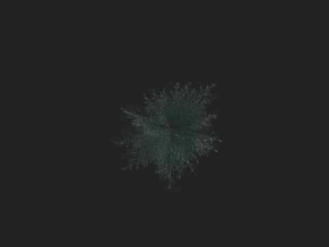 Tree 025 3D Model