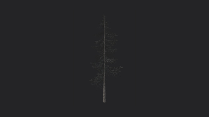 Tree 026 Model 3D .c4d .max .obj .3ds .fbx .stl .blend 