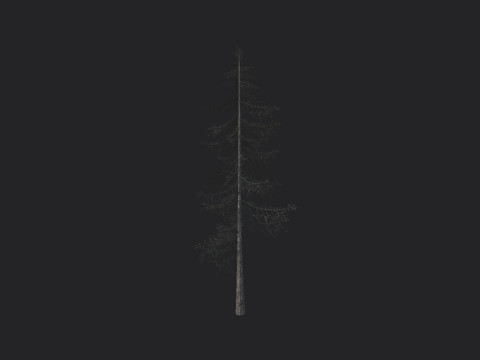 Tree 026 3D Model