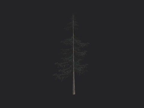 Tree 026 Model 3D