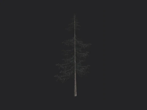 Tree 026 3D Model