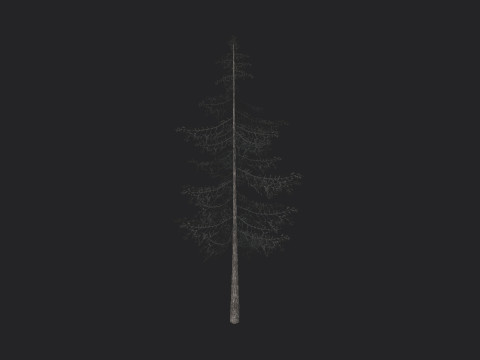 Tree 026 Model 3D
