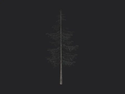 Tree 026 3D Model