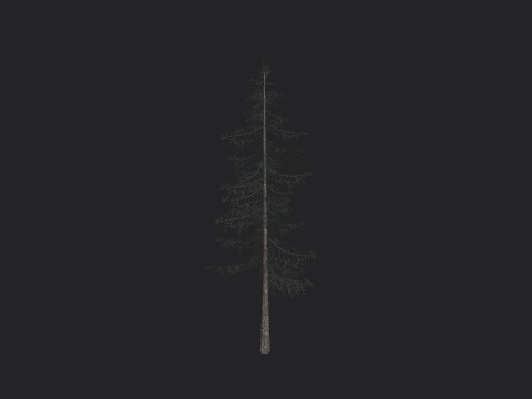 Tree 026 Model 3D