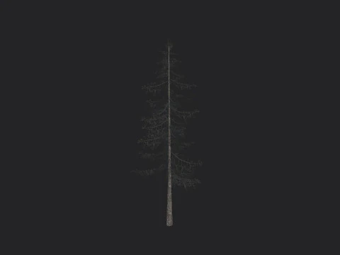 Tree 026 3D Model