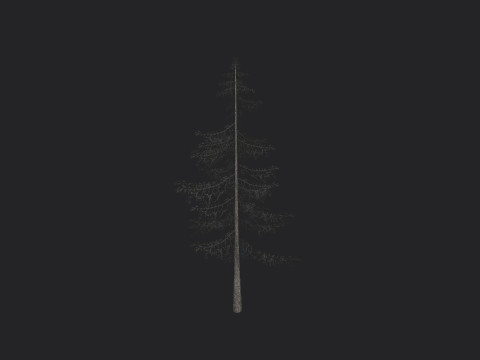 Tree 026 Model 3D