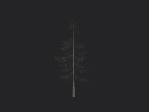 Tree 026 3D Model