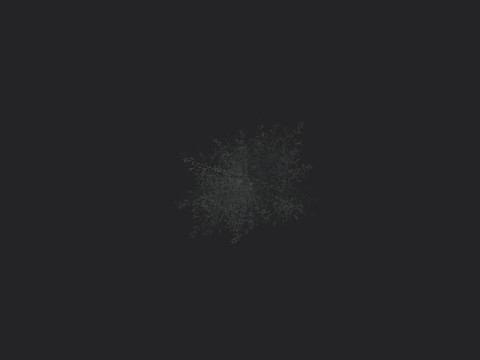 Tree 026 Model 3D