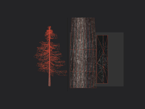 Tree 026 Model 3D