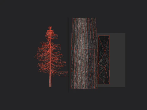 Tree 026 3D Model