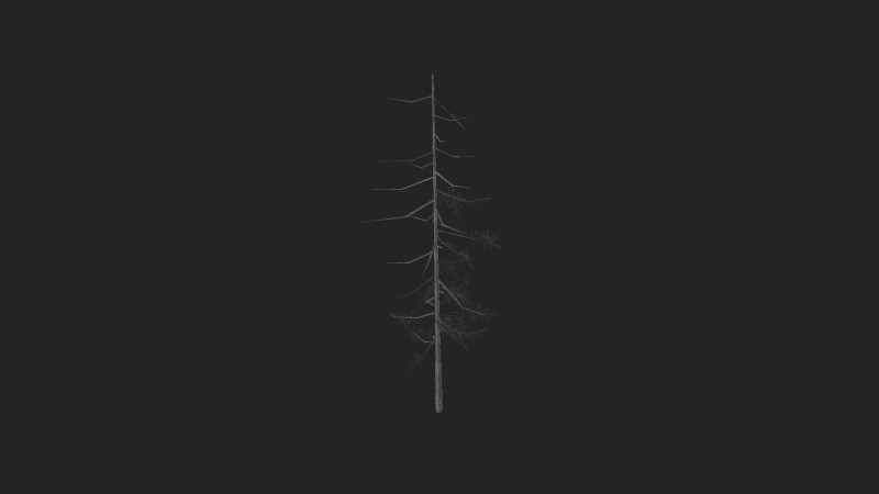Tree 027 Model 3D .c4d .max .obj .3ds .fbx .stl .blend 