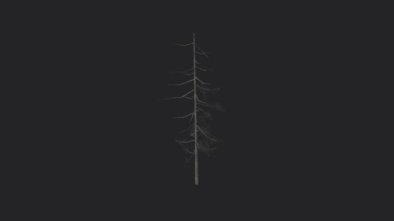 Tree 027 3D Model .c4d .max .obj .3ds .fbx .stl .blend