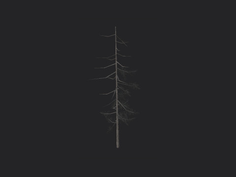 Tree 027 3D Model