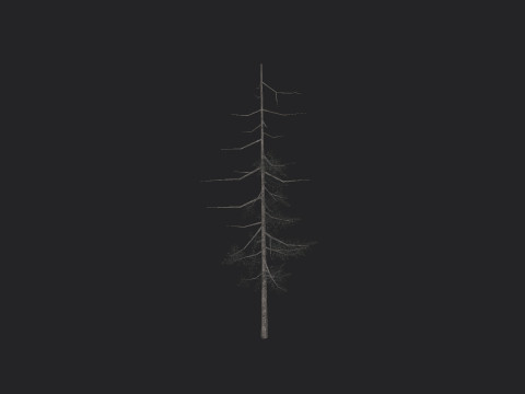 Tree 027 Model 3D
