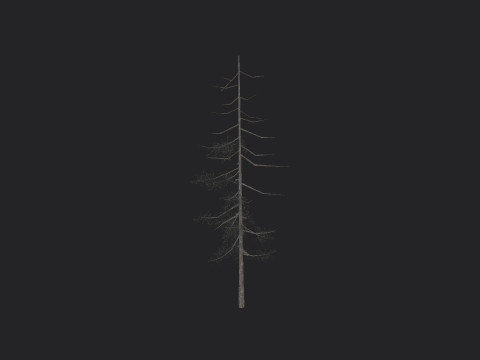 Tree 027 Model 3D