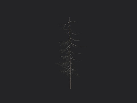 Tree 027 Model 3D