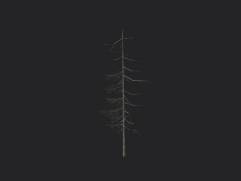 Tree 027 3D Model