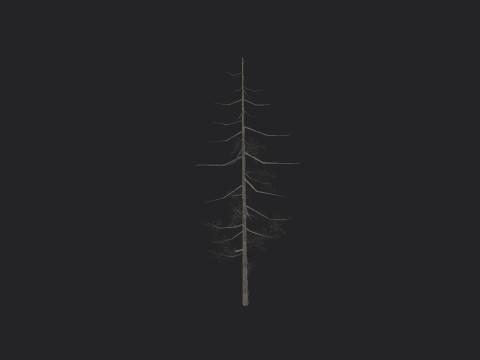 Tree 027 Model 3D