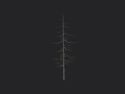 Tree 027 3D Model