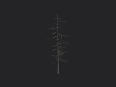 Tree 027 Model 3D