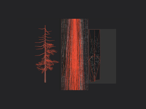 Tree 027 Model 3D
