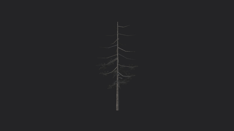Tree 028 3Dモデル .c4d .max .obj .3ds .fbx .stl .blend 