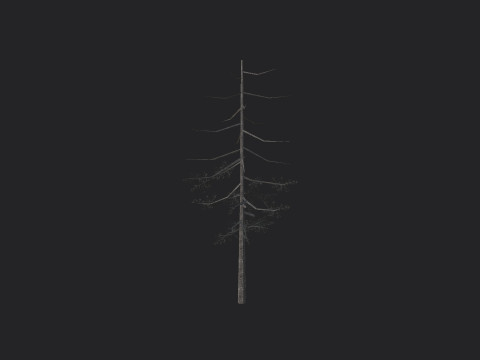 Tree 028 3D Model