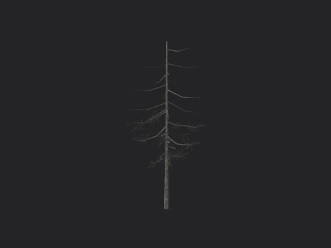 Tree 028 3D Модель
