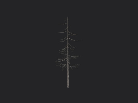 Tree 028 3Dモデル