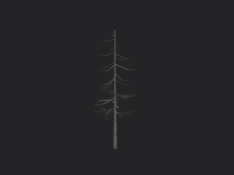Tree 028 3D Model