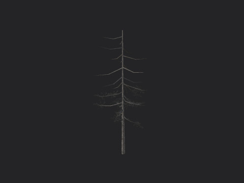 Tree 028 3Dモデル
