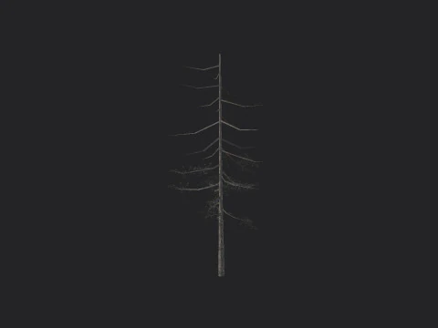 Tree 028 3D Model
