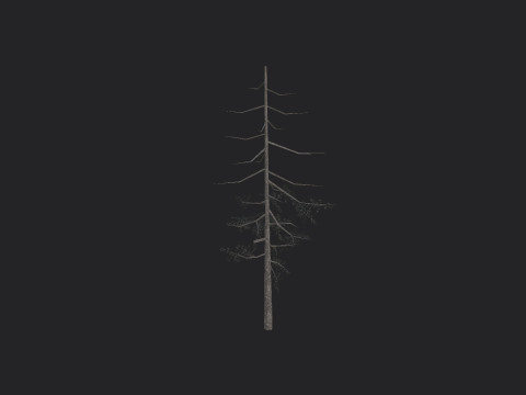 Tree 028 3Dモデル