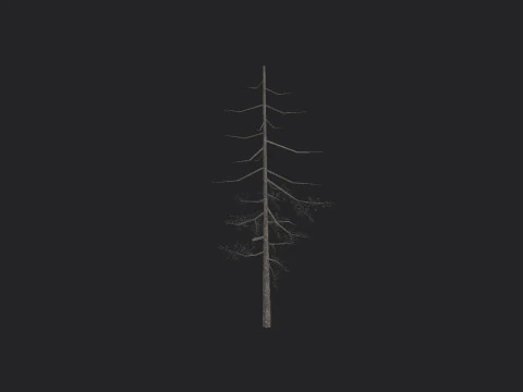 Tree 028 3D Model