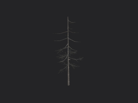 Tree 028 3Dモデル