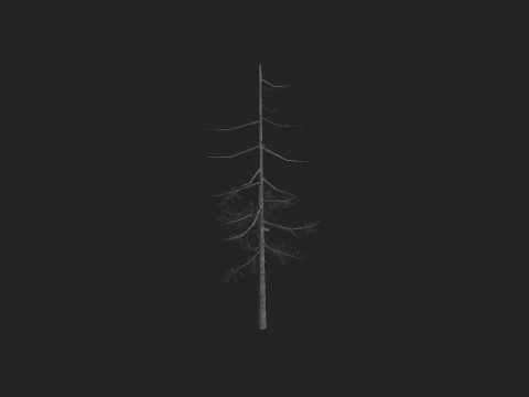 Tree 028 3D Model