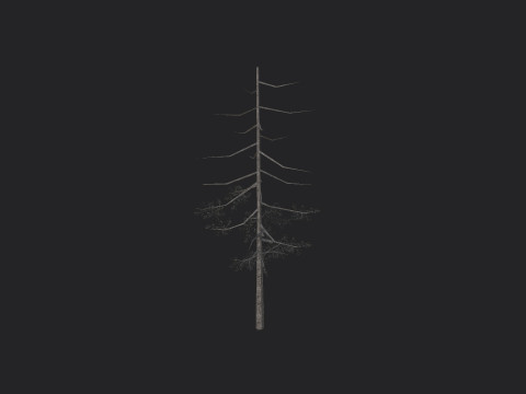 Tree 028 3Dモデル