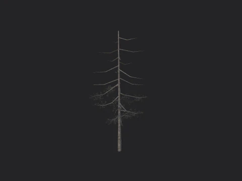 Tree 028 3D Model