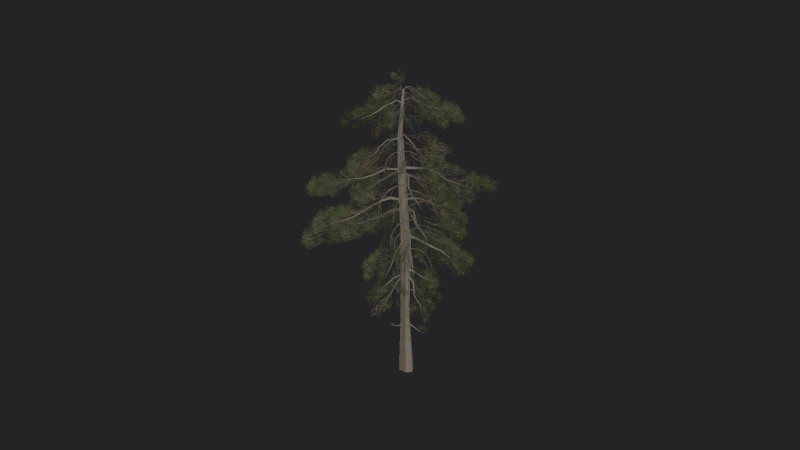 Tree 029 3Dモデル .c4d .max .obj .3ds .fbx .stl .blend 