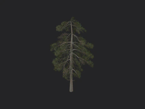 Дерево 029 3D Модель