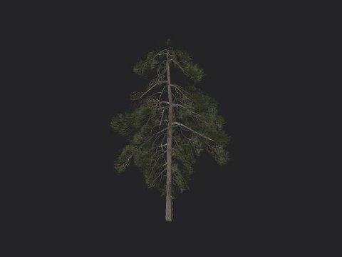 Tree 029 3Dモデル