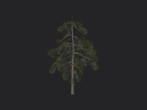 Дерево 029 3D Модель
