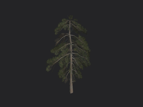 Tree 029 3Dモデル