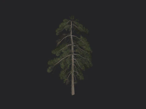 Дерево 029 3D Модель