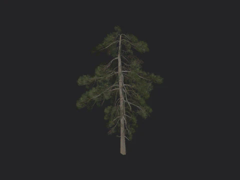 Дерево 029 3D Модель