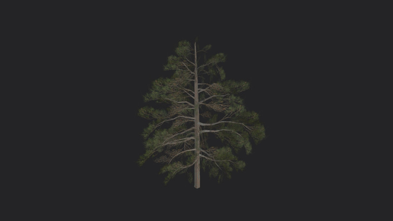 Tree 030 3D Modell .c4d .max .obj .3ds .fbx .stl .blend