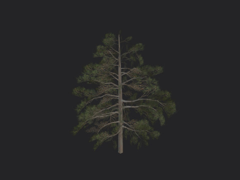 Tree 030 3D Model