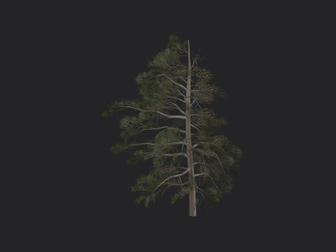 Tree 030 3D Modell