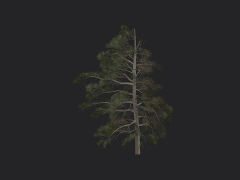 Tree 030 3D Model